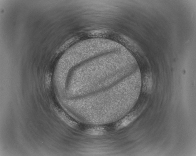 X0000081590278200702051312