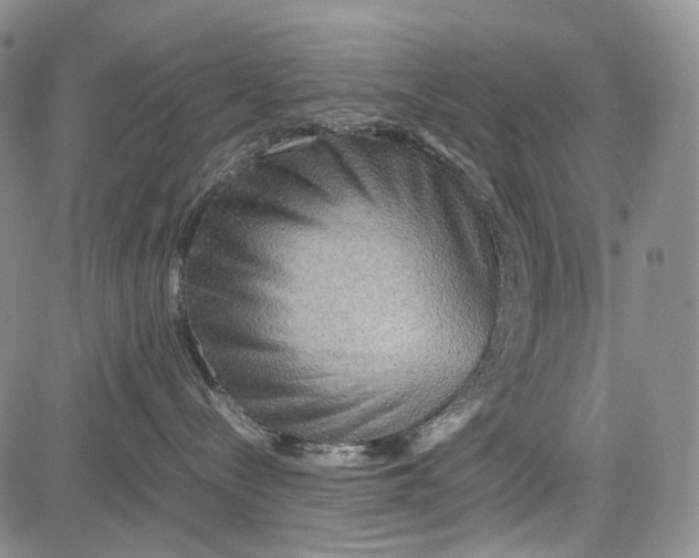 X0000081590288200702051312