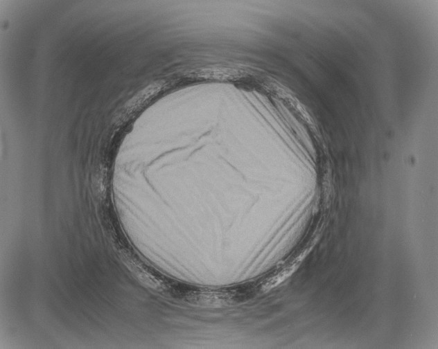X0000081590305200702051311