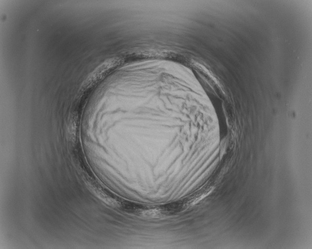 X0000081590309200702051311