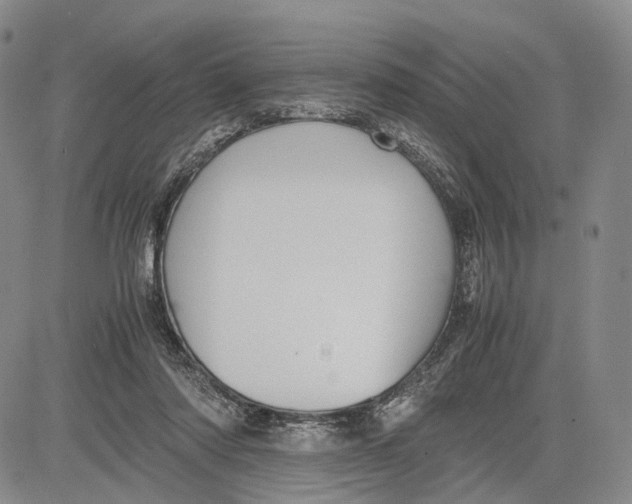 X0000081590310200702051311
