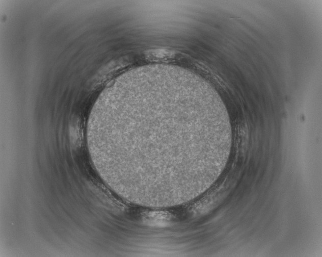 X0000081590324200702051310