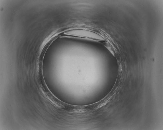 X0000081590344200702051309