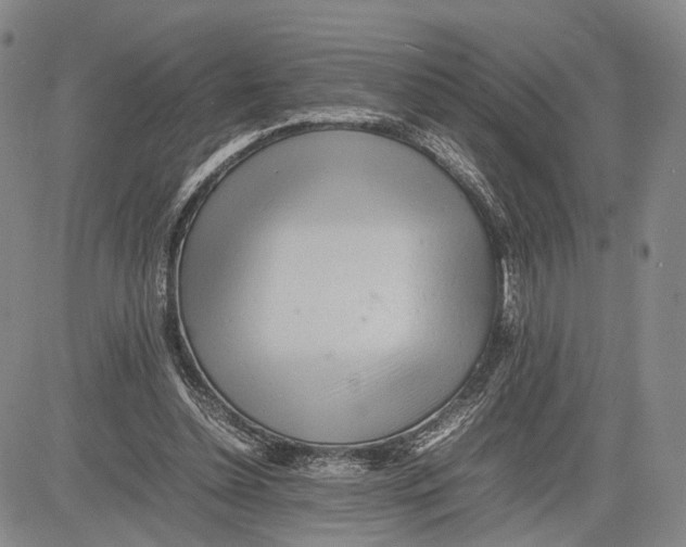 X0000081590348200702051310