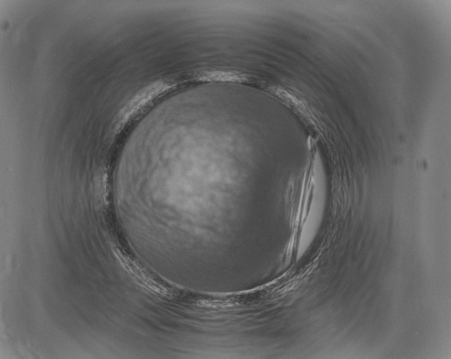 X0000081590351200702051310
