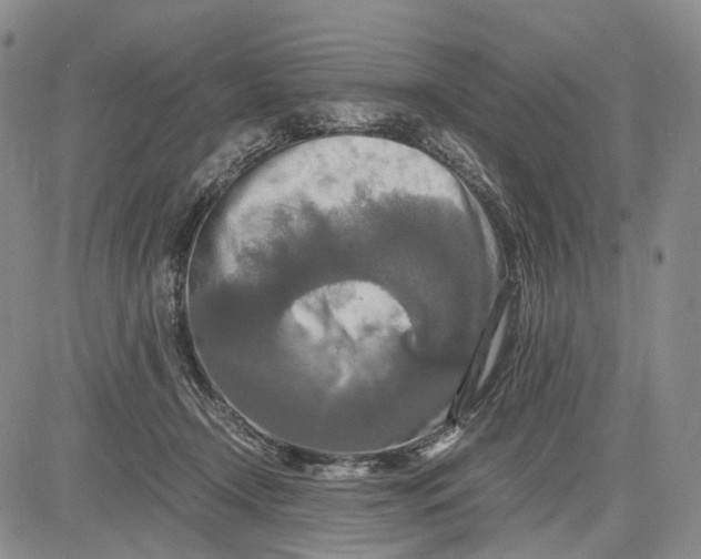 X0000081590366200702051310