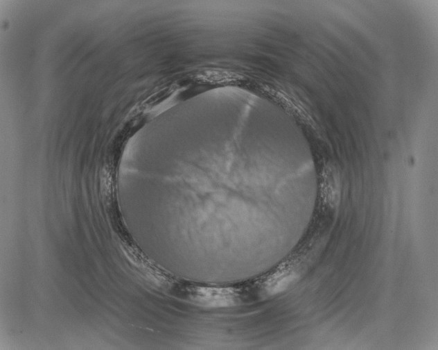 X0000081590371200702051310
