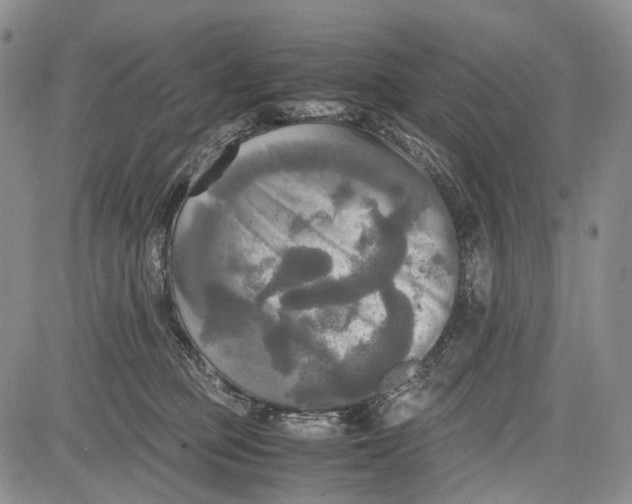 X0000081590373200702051310