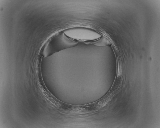 X0000081590387200702051309