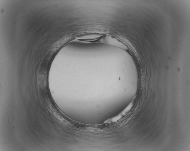 X0000081590393200702051309