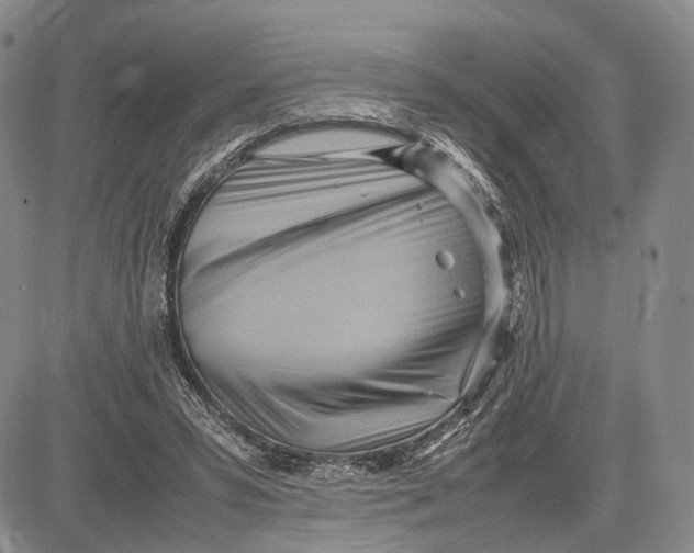 X0000081590399200702051309