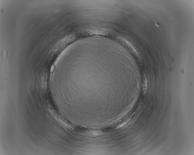 X0000081590402200702051309