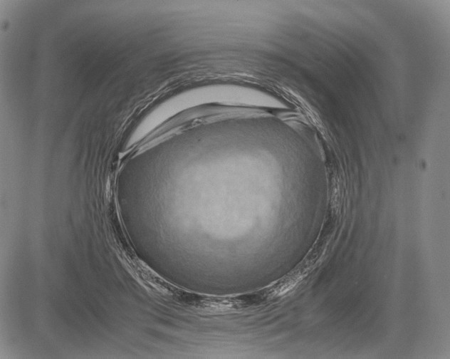 X0000081590405200702051309