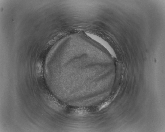 X0000081590420200702051309