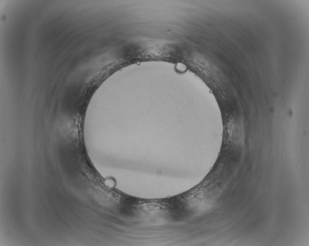 X0000081590423200702051309