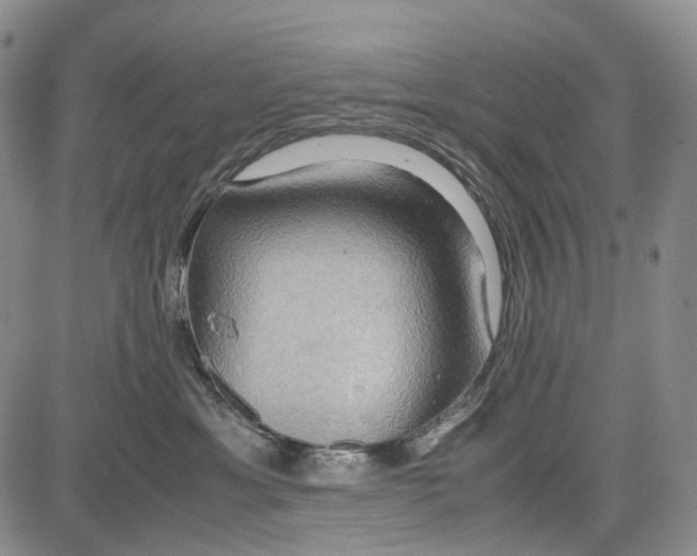 X0000081590429200702051309