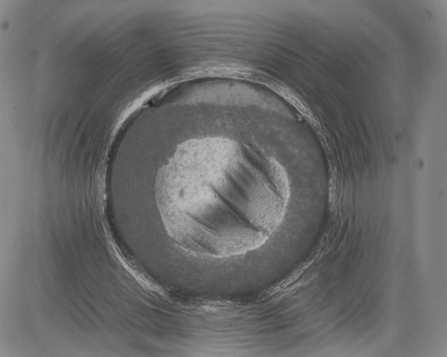 X0000081590438200702051308