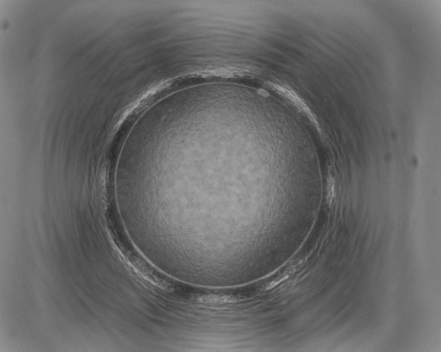 X0000081590444200702051308