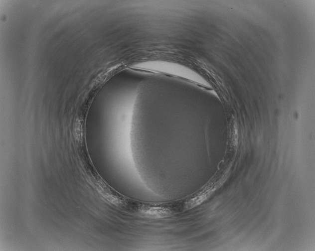 X0000081590467200702051308