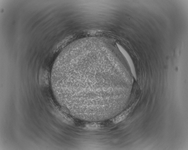 X0000081590470200702051308