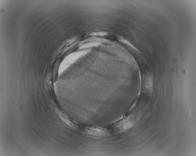 X0000081590475200702051308