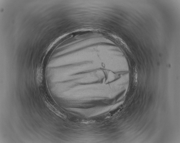 X0000081590484200702051308