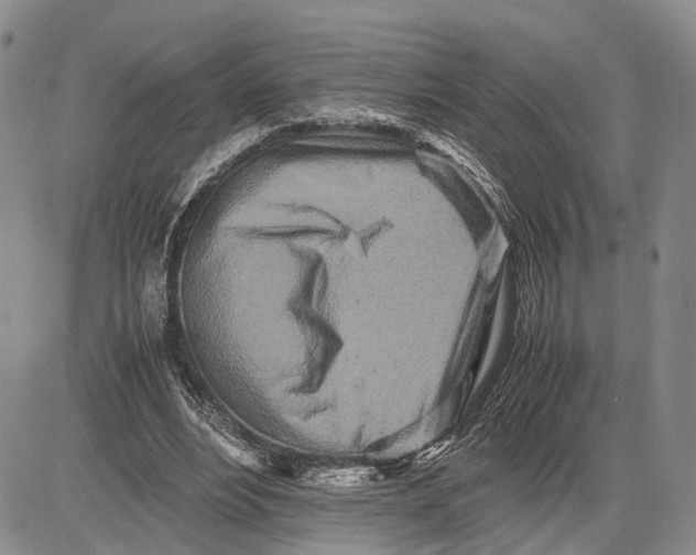 X0000081590488200702051308
