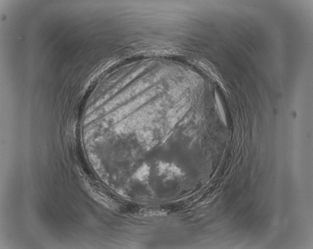 X0000081590491200702051308