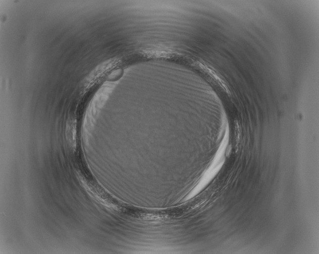X0000081590494200702051308