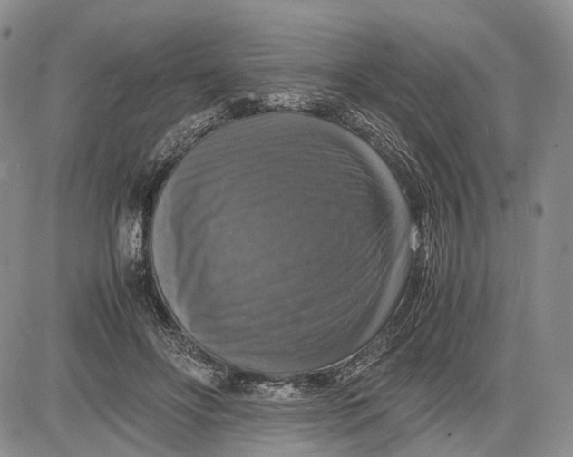 X0000081590502200702051307