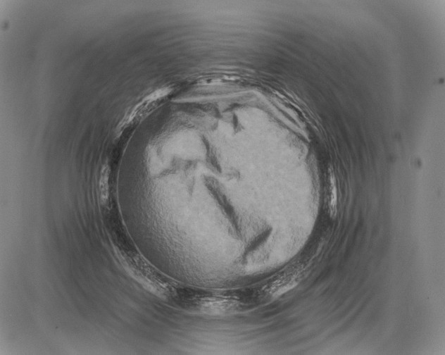 X0000081590504200702051307