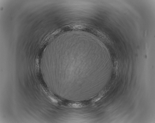 X0000081590506200702051307