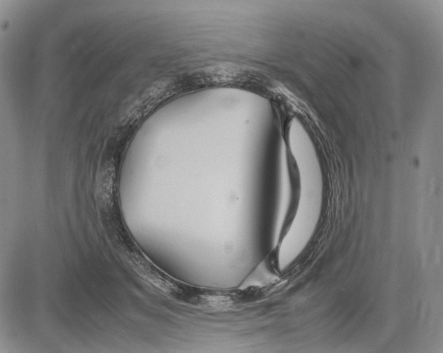 X0000081590509200702051307