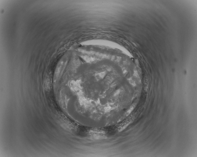 X0000081590515200702051307