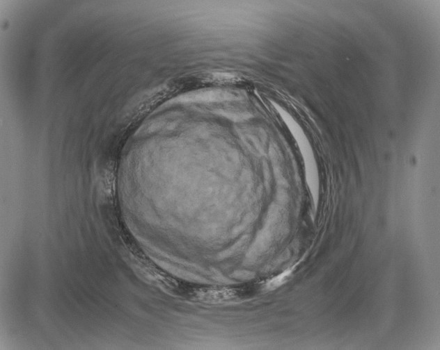 X0000081590517200702051307