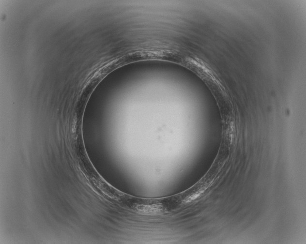 X0000081590548200702051307