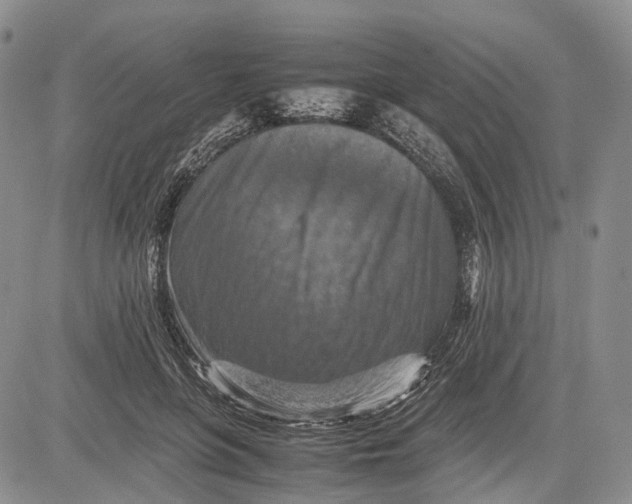 X0000081590551200702051307