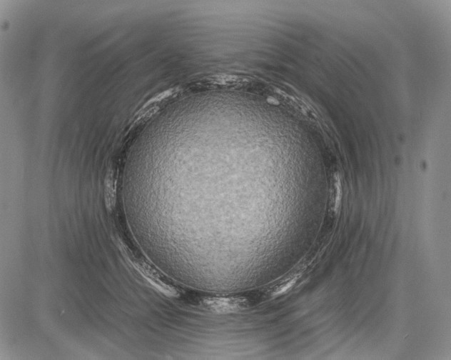 X0000081590558200702051307