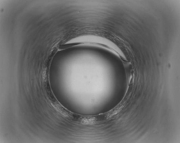 X0000081590560200702051307