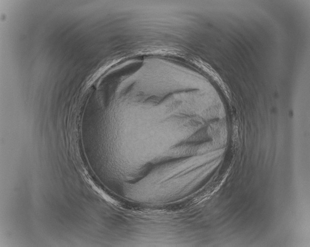 X0000081590577200702051306