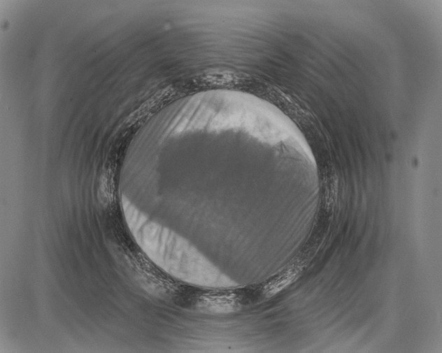 X0000081590606200702051306