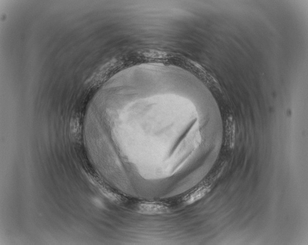 X0000081590614200702051306