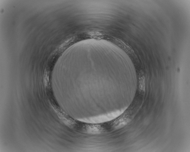 X0000081590618200702051306