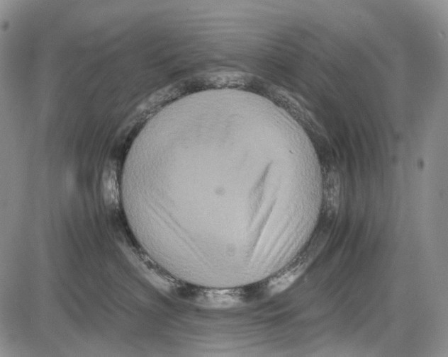 X0000081590622200702051306