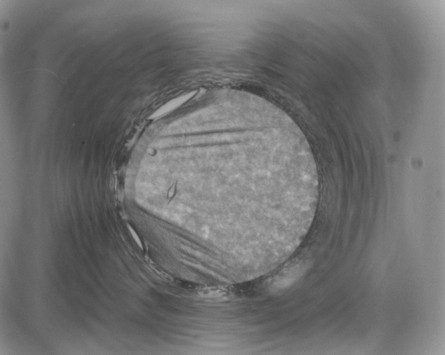 X0000081590624200702051305
