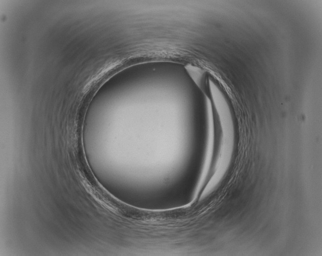 X0000081590677200702051305