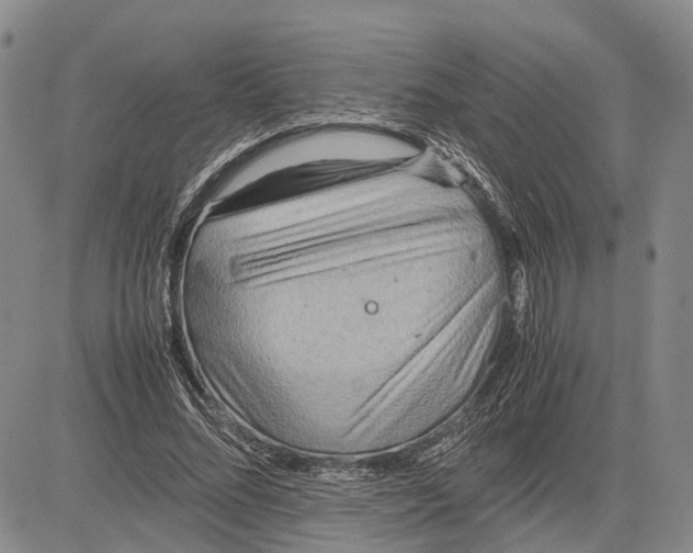 X0000081590684200702051305