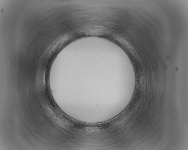 X0000081590686200702051304