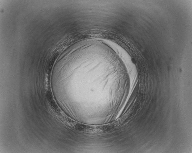 X0000081590696200702051304