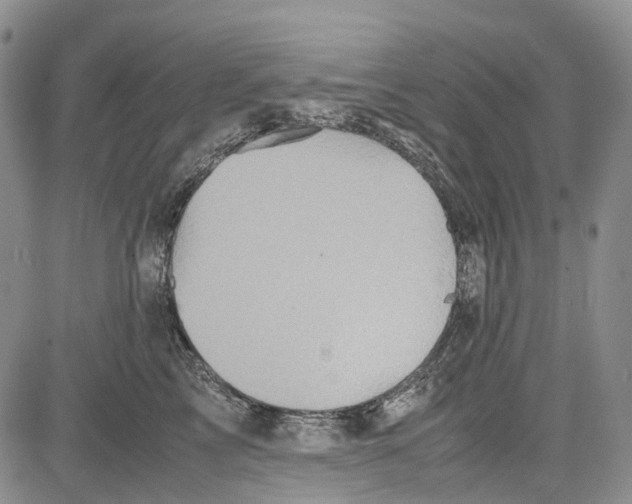 X0000081590713200702051304